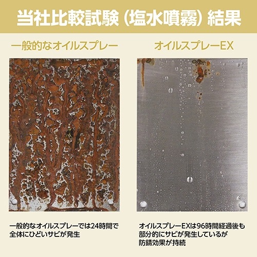 ڥӥ塼TPۥEX 420ml 30[92707]