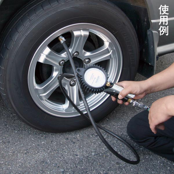 �ڥߥ�����ۥ����̥����� 12K