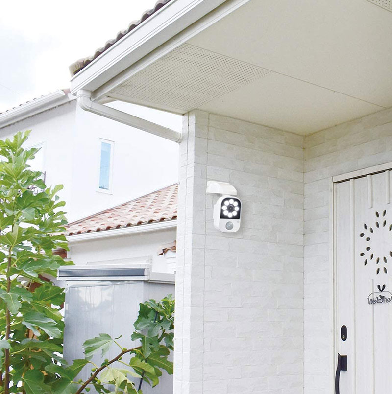 ��web���ꥲ��饻��������ʡ۽��ż����󥵡��饤�� ���顼���� DLC-2T100AR[82738]