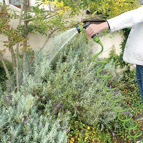 �ڥ��եƥ���3�ۥ�����ۡ���NEXT 15m SCHNT-15 OL[95398]