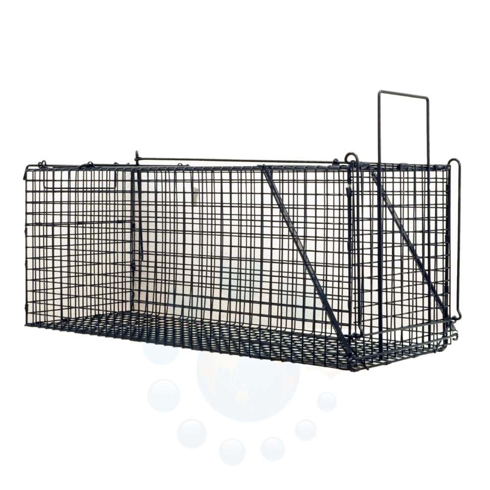 アニマルキャッチャー/捕獲器　２つセット マツモト】捕獲器アニマルキャッチャー S （AC-24） 2個セット（1