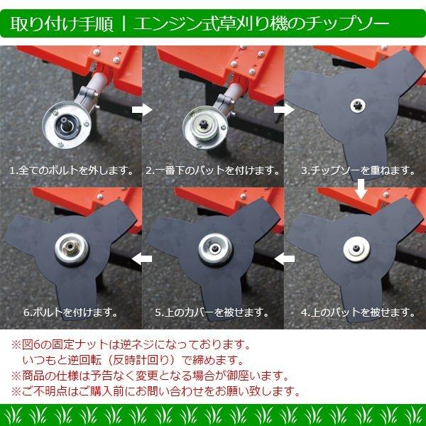 �𴢤굡 52cc �����å����ȣ������å���[97723]