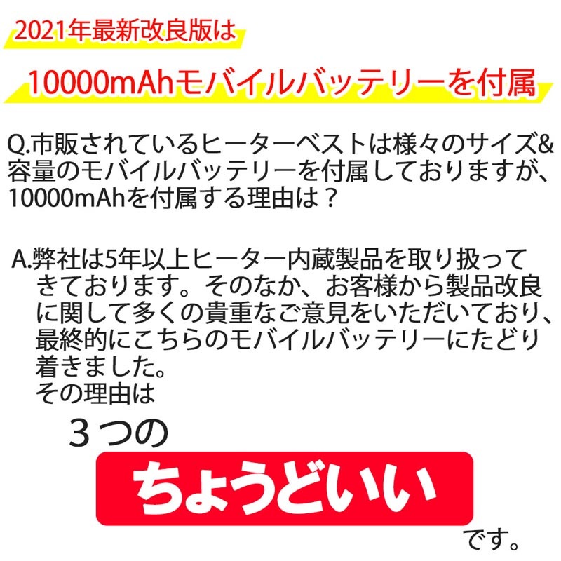 ҡȥ٥ ʥХåƥ꡼10,000mAh L[77127]