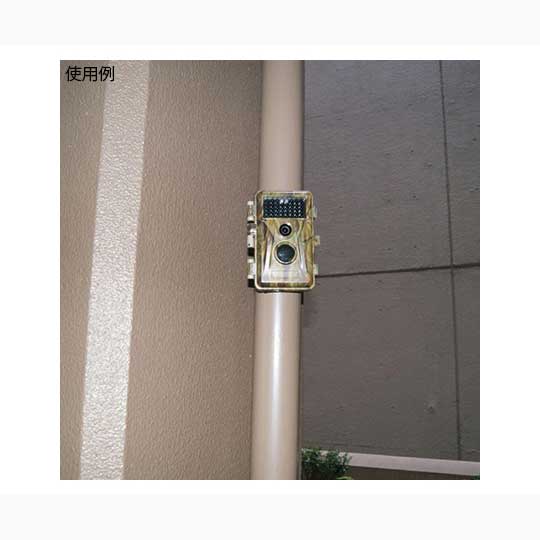 ٻҡۥǥȥ쥤륫ߥ FTC-003MINI ʴӼȥˡ[76142]