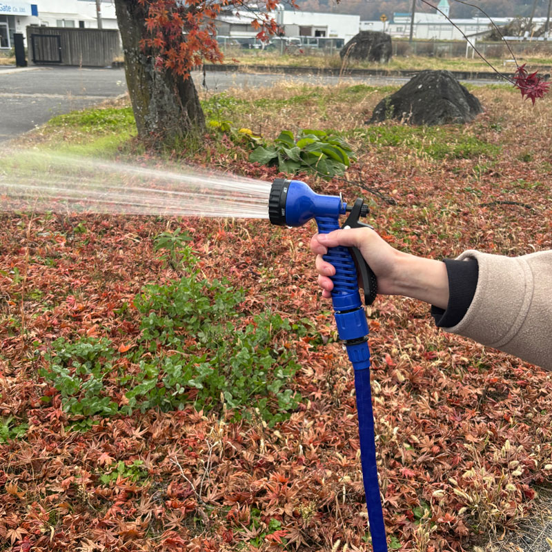 ��NEW�դ��󤰤�ۡ���BL[98931]