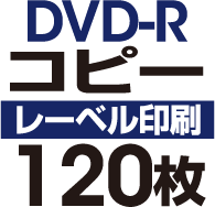 DVD-R���ԡ���120��
