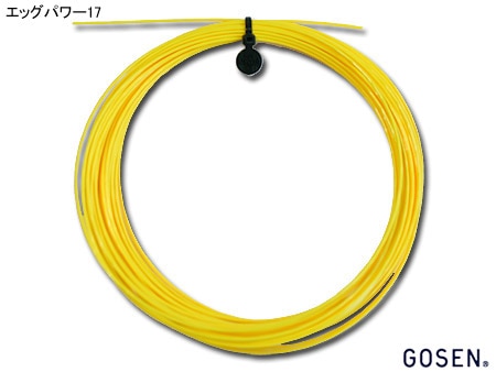 ゴーセン GOSEN テニスガット 単張り ポリロン エッグパワー 17