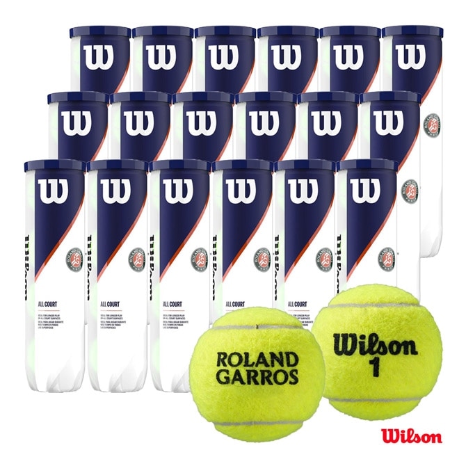 륽 Wilson ƥ˥ܡ ROLAND GARROS ALL COURT 4 Ball1Ȣ18/72 WRT116400