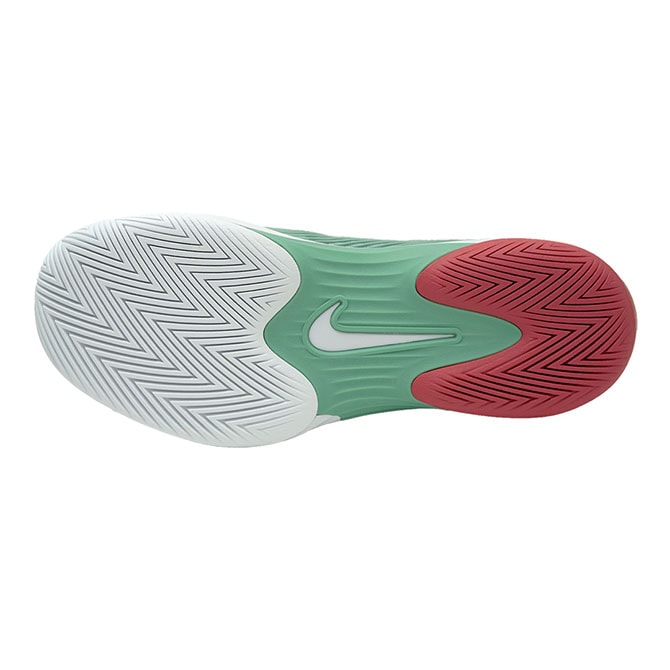 ナイキ NIKE テニスシューズ メンズ ヴェイパー 12 HC FV5552（004
