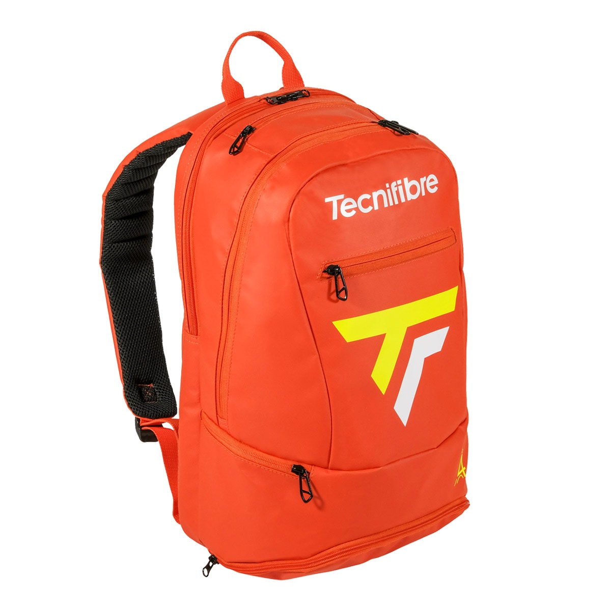 ��ͽ��ۥƥ��˥ե����С� Tecnifibre �ƥ˥��Хå� TOUR ENDURANCE BACKPACK IG 40TOURIGBP