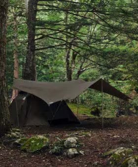 THE NORTH FACE (�� �Ρ��� �ե�����) 