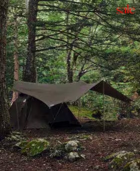 20%OFF] THE NORTH FACE (ザ ノース フェイス) 