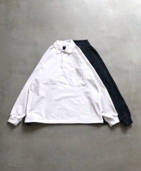 DAIWA PIER39( ԥƥʥ) "TECH POLO SHIRTS L/S"