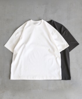 美品ATON FRESCA PLATE OVERSIZED T-SHIRT 04 FRESCA PLATE | LOOSE FIT T-SHIRT – ATON | エイトン