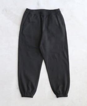 DAIWA PIER39(������ �ԥ������ƥ����ʥ���) 