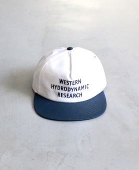 Western Hydrodynamic Research(ϥɥʥߥåꥵ) 