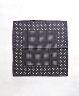 ��2.14 Release��KAPTAIN SUNSHINE(����ץƥ󥵥󥷥㥤��) 