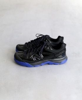 ��2.6 0:00 Release��  SALOMON(�������) 