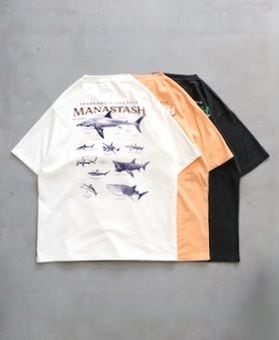 MANASTASH (�ޥʥ����å���) 