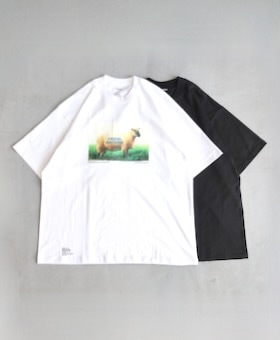 ��8.29 12:00 Release / limited��FreshService �� FRIEND EDITIONS(�ե�å��奵���ӥ� �� �ե��� ���ǥ������)
