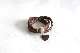 HTC / HOLLYWOOD TRADING COMPANY (�������ƥ�������) "HTC BELT #144 / #145"