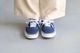 VANS(������) "Authentic -Deep Indigo-"