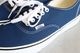 VANS(������) "Authentic -Deep Indigo-"