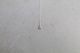 Needles(�ˡ��ɥ륺) "Pendant - 925 Silver"