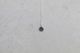 Needles(�ˡ��ɥ륺) "Pendant - 925 Silver"