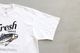 FreshService(�ե�å��奵���ӥ�)"CORPORATE PRINTED FISH"