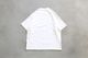 FreshService(�ե�å��奵���ӥ�)"CORPORATE PRINTED FISH"