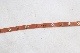 HTC / HOLLYWOOD TRADING COMPANY (�������ƥ�������) "HTC BELT #177 / #178 / #179"