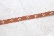 HTC / HOLLYWOOD TRADING COMPANY (�������ƥ�������) "HTC BELT #177 / #178 / #179"