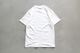 Fucking Awesome (�ե��å��󡡥�������) "Fuck The World Short Sleeve Tee"