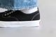 VANS(������) "Authentic Gore"