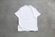 �κ����� / unisex��PLAY COMME des GARCONS(�ץ쥤 ���� �� ����륽��) "T-SHIRT LOGO PRINT PLAY LOGO - AX-T068-051 -"