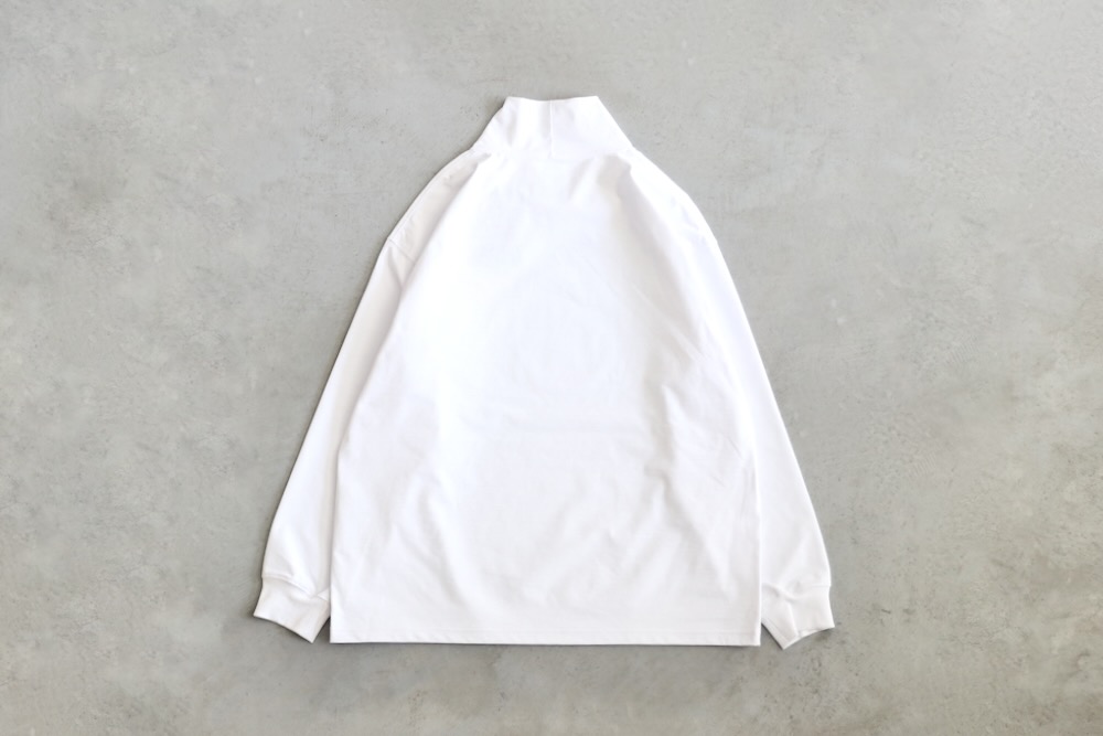 DAIWA PIER39( ԥƥʥ) "TECH OFF TURTLE L/S"