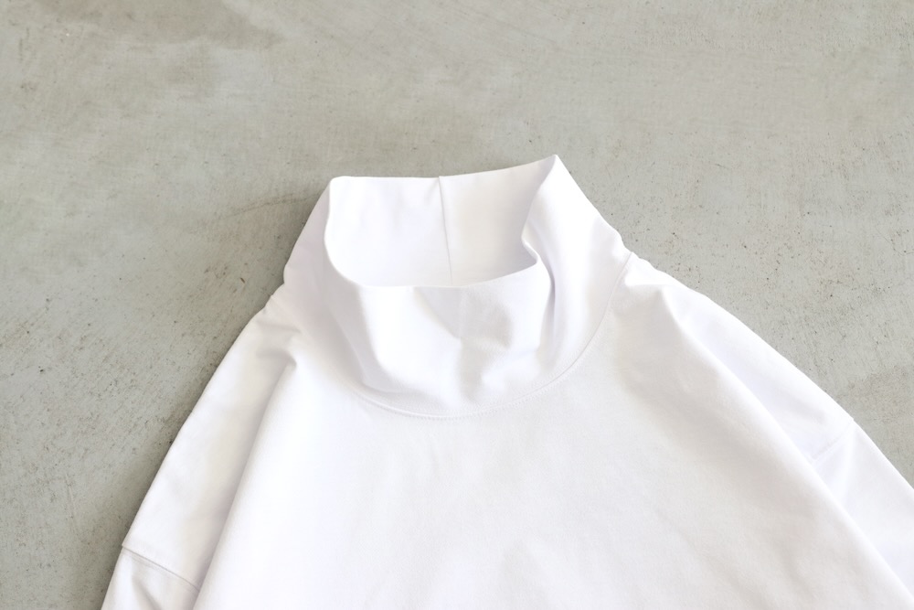 DAIWA PIER39( ԥƥʥ) "TECH OFF TURTLE L/S"