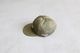 FreshService(�ե�å��奵���ӥ�)"CORPORATE UNIFORM CAP "DISPATCH""