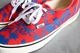 VANS(������) "Authentic -Archive MULTI-"