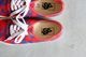VANS(������) "Authentic -Archive MULTI-"