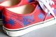 VANS(������) "Authentic -Archive MULTI-"