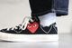 limitedPLAY COMME des GARCONS  CONVERSE (ץ쥤   륽  С) "PLAY CONVERSE CHUCK TAYLOR LO -AZ-K118-001-"