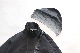 GORE-TEXACRONYM(˥) "J115-GT 3L Gore-Tex Pro Interops Jacket"