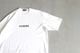 COMME des GARCONS HOMME(���� �� ����륽�󡦥���) "��ŷ�����ʥץ��� ��LOGO TEE HO-T103-051"
