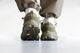 [30%OFF] HOKA(�ۥ�) "U TOR SUMMIT" 