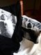 ��limited��blurhms ROOTSTOCK �� Joy Division (�֥顼�ॹ�롼�ĥ��ȥå� �� ���祤���ǥ����������) "JD LOVE WILL TEAR US APART Photo WIDE"