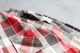 THE NORTH FACE PURPLE LABEL (�� �Ρ��� �ե����� �ѡ��ץ� �졼�٥�) "Flannel Plaid Field Shirt"