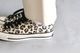 CONVERSE ADDICT(����С��� ���ǥ�����) "CHUCK TAYLOR MATERIAL OX"