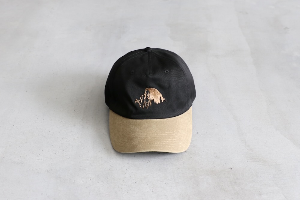 4.8 Release】THE NORTH FACE PURPLE LABEL (ザ ノース フェイス